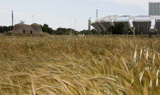 Bari calcio: ingresso gratuito allo stadio per i tifosi con disabilit